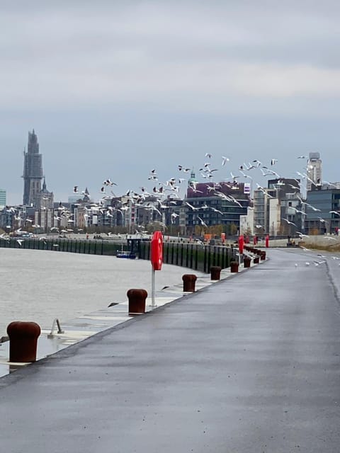 Luxe-appartement aan de Schelde Apartment in Antwerp