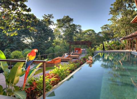 Nayara Springs - Adults Only Hotel in Alajuela Province