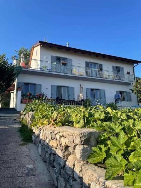 Property building, Spring, Day, Garden