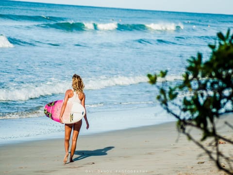 Day, Beach, Guests