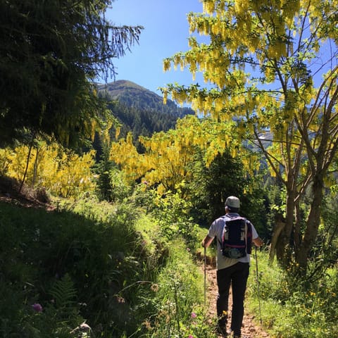 People, Natural landscape, Hiking