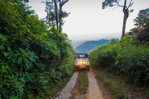 Forest County Resort in Kerala