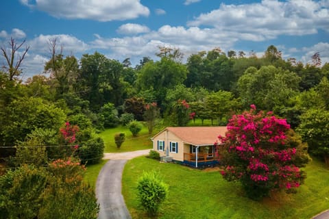 Property building, Natural landscape, Garden view