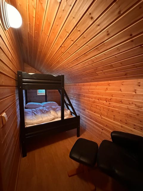 Bed, Photo of the whole room, Bedroom, bunk bed