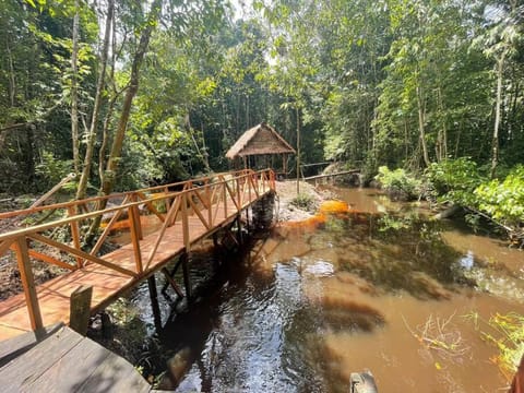 Stay at the river house Casa in State of Amazonas