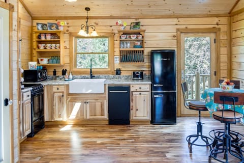 Conifer Log Cabin Rental with Private Hot Tub and Pond House in Park County