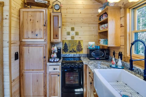 Conifer Log Cabin Rental with Private Hot Tub and Pond House in Park County