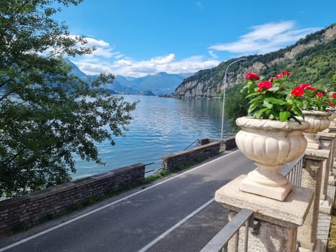 Balcony/Terrace, Lake view