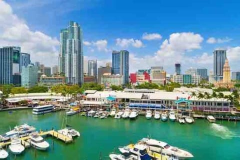 GREAT LOCATION Downtown/Airport/South Beach House in Miami