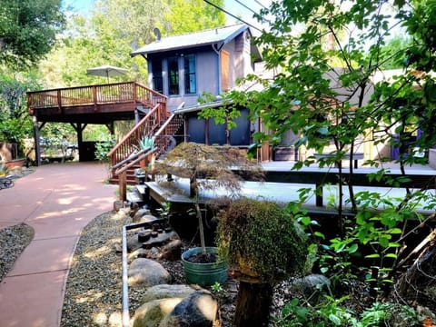 Magical River House ! 10 min to SNP park entrance Haus in Three Rivers