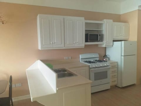 Kitchen or kitchenette, dishwasher, minibar, stove