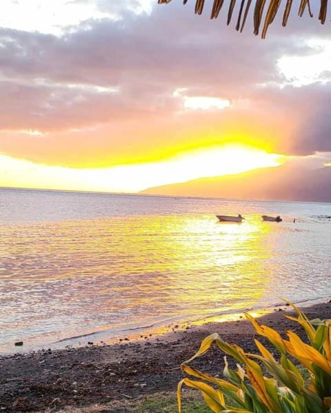 View (from property/room), View (from property/room), Sea view, Sunrise