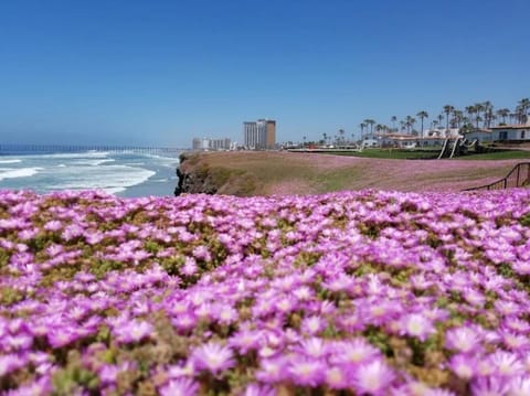 Ocean View Rosarito WorldMark Resort Condo Hotel flat in Rosarito