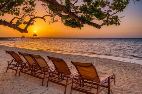 Nearby landmark, Natural landscape, Beach, Sea view, Sunset