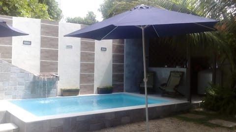 Garden, Swimming pool, Swimming pool