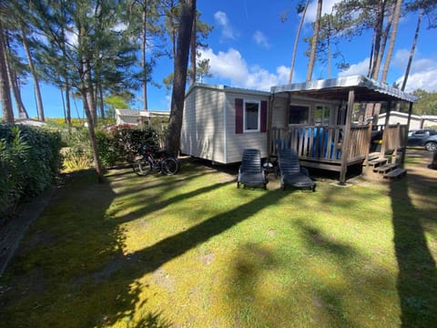 Property building, Garden view