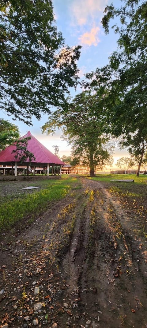 La Maloka Ecolodge Capanno nella natura in Pucallpa