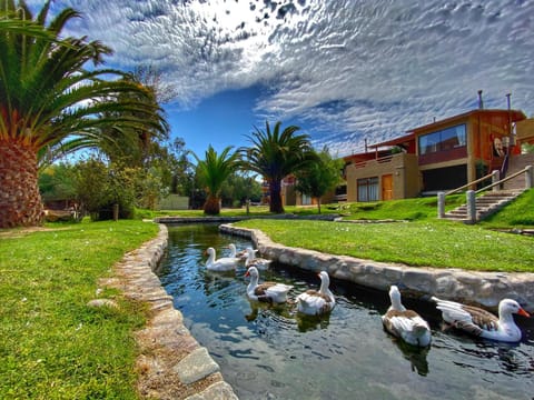 Property building, Day, Natural landscape, Garden, Garden, Garden view