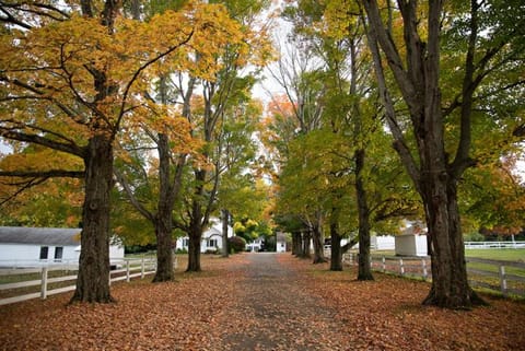 The Inn at Richmond Inn in Berkshires