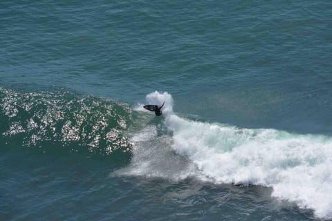 Ocean Front Condo @ Las Olas Grand Apartment in State of Baja California