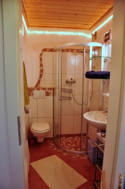 Gabis Lodge Apartment in Salzburgerland