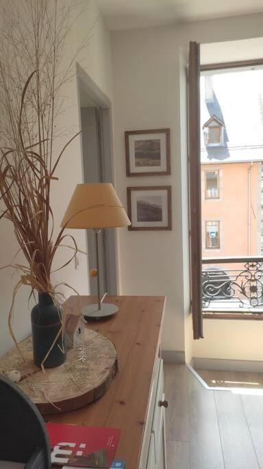 Appartement cosy avec charme historique Apartment in Chambery