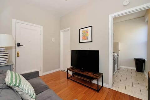 Warm and Comfortable 1 BR Apartment Condo in Roosevelt Island