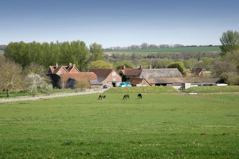 The Old Stables self catering House in Salisbury
