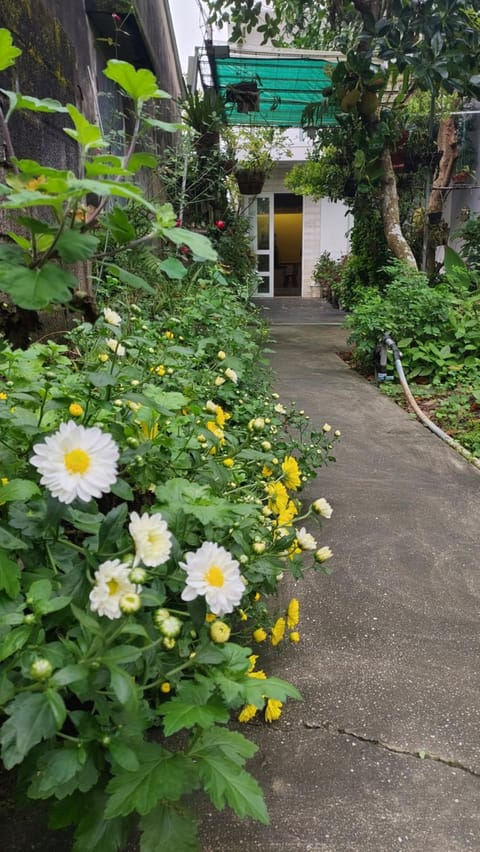 Day, Winter, Garden, Garden view