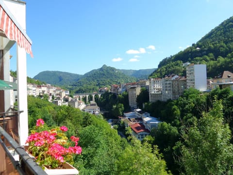 Balcony/Terrace, City view