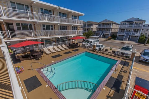 Pool view, Swimming pool