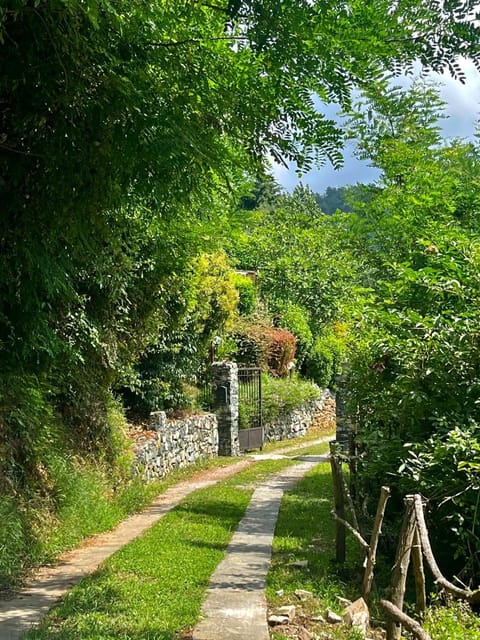 Garden, Garden view