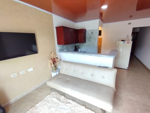 TV and multimedia, Kitchen or kitchenette, Living room, Seating area