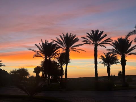 Exquisite 3BR Condo Ocean Views Access Resorts Apartment in Cabo San Lucas