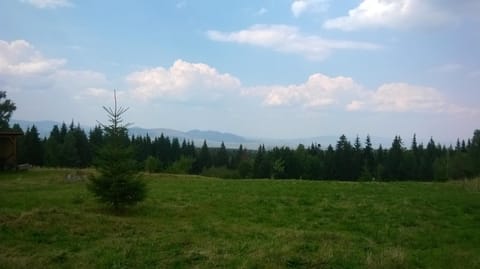 Pensiunea Dealu Negru 17B House in Cluj County