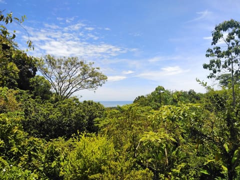 Natural landscape, Sea view