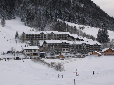 Natural landscape, Winter, Skiing