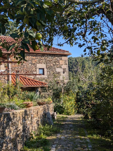 Property building, Day, Garden, Garden view