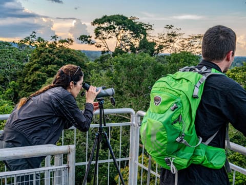 Bird's eye view, Hiking