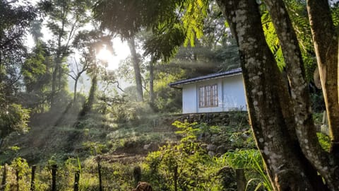 Jungle Tide Chambre d’hôte in Gangawatakorale