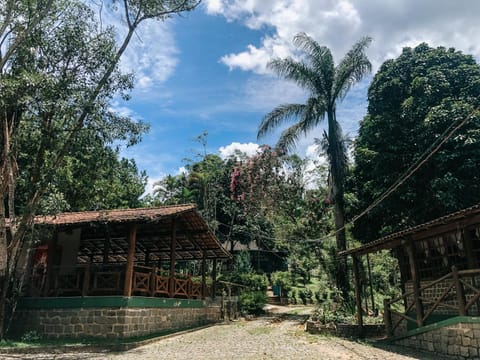 Natural landscape, Garden view