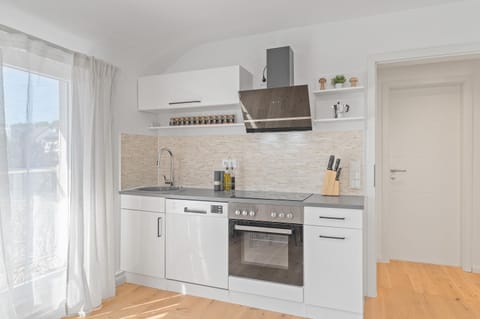 Kitchen or kitchenette, dishwasher, minibar, pet friendly, stove