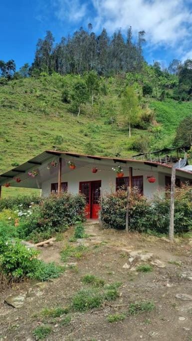 Property building, Natural landscape