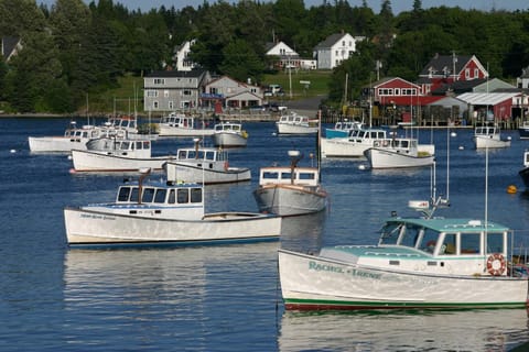 Lighthouse Cabins Maine Bed and Breakfast in Southwest Harbor