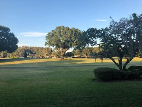2 Beds 1 Bath  Golf Course View condo at Saddlebrook Condo in Wesley Chapel
