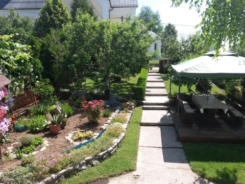 Patio, Natural landscape, Summer, Garden view