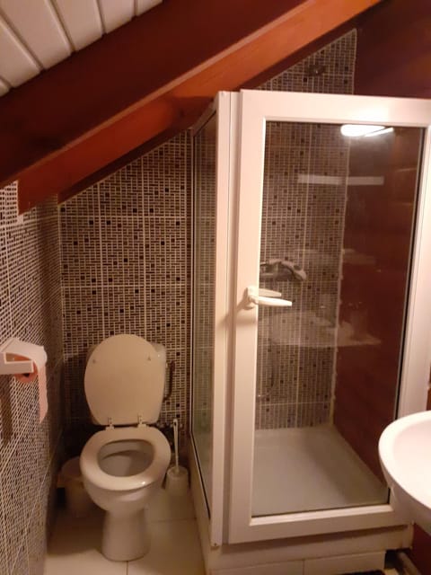 Shower, Toilet