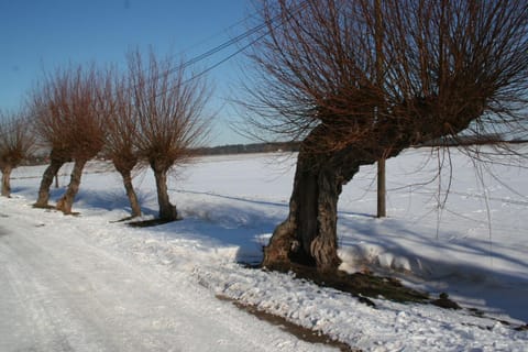 Natural landscape, Winter