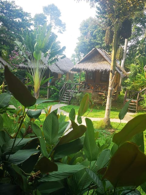 Jungle Garden Bed and Breakfast in Koh Chang Tai