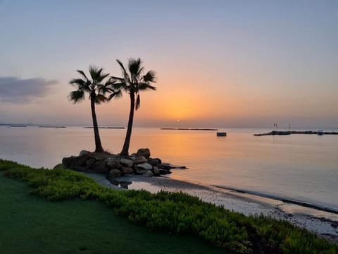 Day, Natural landscape, Beach, Sea view, Sunrise